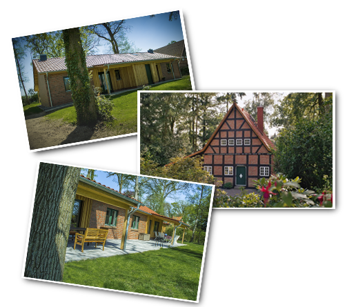 Die Ferienhäuser in Armsen